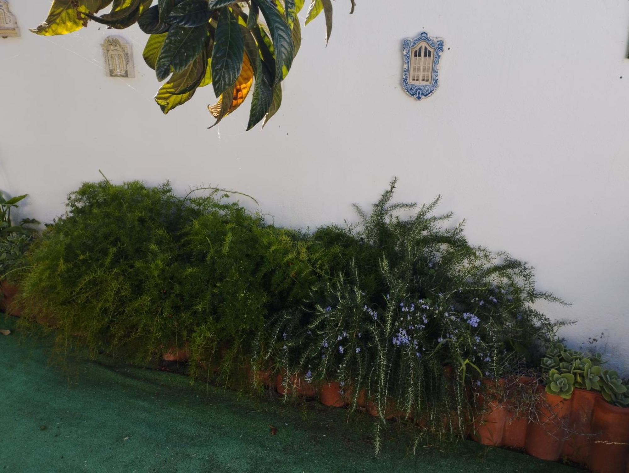 Hotel Casa Sarguito à Sagres Extérieur photo